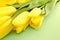 Yellow tulips on green background with space for message.