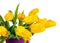 Yellow tulips in lilac vase isolated on white background.