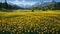 Yellow tulips meadow, tranquil landscape AI
