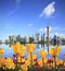 Yellow tulips prospect of Shanghai the Bund\'s landmark skyline