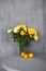 Yellow tulips, roses, chrysanthemums in a transparent vase against the background of a gray concrete wall. A bouquet of fresh spri