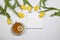 Yellow tulips on a white background