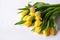 Yellow tulips white background two toy chickens heads