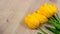 Yellow tulips on a wooden table, easter background