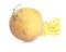 Yellow turnip