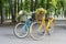 Yellow and turqoise city woman bicycles with flowers in park