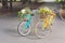 Yellow and turqoise city woman bicycles with flowers in park