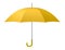 Yellow umbrella