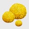Yellow underwater sponge, polyps in form of brains