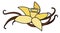 Yellow vanilla orchid flower and pods doodle cartoon style illustration. For menu, farmers market design, cookbook