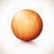 Yellow vector isolated wooden ball