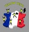 Yellow vests French protesters ower France 3D map