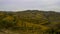 Yellow Vineyards in Soave