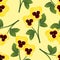 Yellow Viola Garden Pansy Flower on Light Yellow Background. Vector Illustration