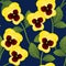 Yellow Viola Garden Pansy Flower on Navy Blue Background. Vector Illustration