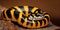 A yellow viper dangerous pattern in close up generated by AI