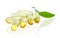 Yellow vitamin omega3 fish oil capsule on white background