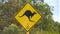 Yellow warning sign for kangaroo crossings