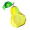 Yellow watercolor pear on a white background
