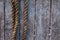 Yellow weathered ropes against rustic wooden boards