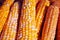Yellow and white mixed ripe corn close up organic texture background