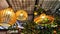 Yellow wicker chandeliers on the ceiling and orange tree with tangerines. Interior, room design, cute, warm background