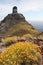 Yellow wild flowers and Tower on Capraia Elba , Tuscany, Italy,