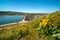 Yellow wildflowers above roads that lead over a Dam on the Boise