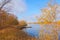 Yellow willow and stone embankment on a river bay