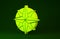 Yellow Wind rose icon isolated on green background. Compass icon for travel. Navigation design. Minimalism concept. 3d