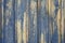 Yellow wooden background or texture with peeling blue paint