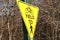 Yellow Yield Sign In Park