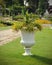 Yellowe daisy Flowering Plant inside White Flowerpot