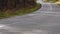 Yellowed autumn leaves fall on an empty suburban highway. Asphalt road among the autumn forest.