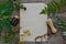 Yellowed sheet of paper with medical plants and a bottle of tincture