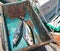 Yellowfin Ahi Tuna and Bonita Mackerel on their way to the fillet table in San Jose Del Cabo Baja Mexico