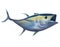 Yellowfin tuna 