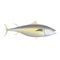 Yellowfin tuna fish mockup, realistic style