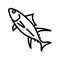 yellowfin tuna line icon vector illustration