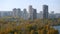 Yellowing trees of city park on the banks of the river against the backdrop of city skyscrapers. Drone view. Urban