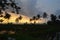 the yellowing twilight and the expanse of rice fields in Lewisarai Village