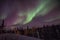 Yellowknife Wintery Green Aurora Delight