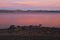 Yellowstone Lake At Dusk