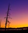 Yellowstone Lake - early dawn panoramic