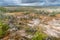 Yellowstone landscape of geyser pools and mud pots