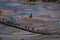 YELLOWSTONE, MONTANA, USA JUNE 02, 2018: Above view of people walking in the boardwalk among pools and geysers