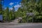 YELLOWSTONE, MONTANA, USA JUNE 02, 2018: Outdoor view of informative sign of Norris Geyser Basin and Museum located in