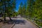 YELLOWSTONE, MONTANA, USA JUNE 02, 2018: Unidentified people walking in a wooden path among the geysers and trees. Back