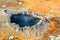 Yellowstone National Park, Chinese Spring in Upper Geyser Basin