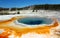 Yellowstone National Park, Colorful Crested Pool, Upper Geyser Basin, Wyoming, USA